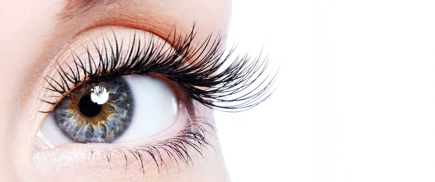 Perfect Beauty Spot - eye lash extensions and tints